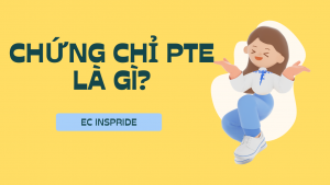 Chứng chỉ PTE là gì