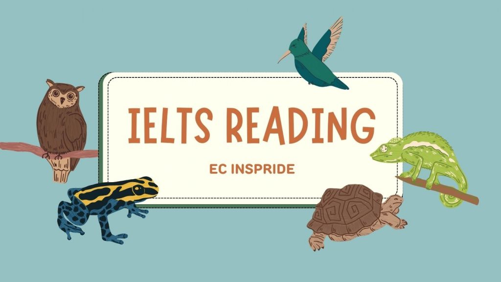 IELTS Reading là gì